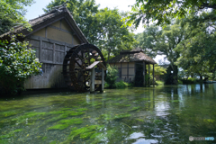 清流 ③