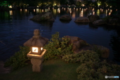 徳川園の夕涼み ⑦  石燈籠と浮き燈籠