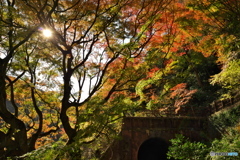 秋の愛岐トンネル群 ③