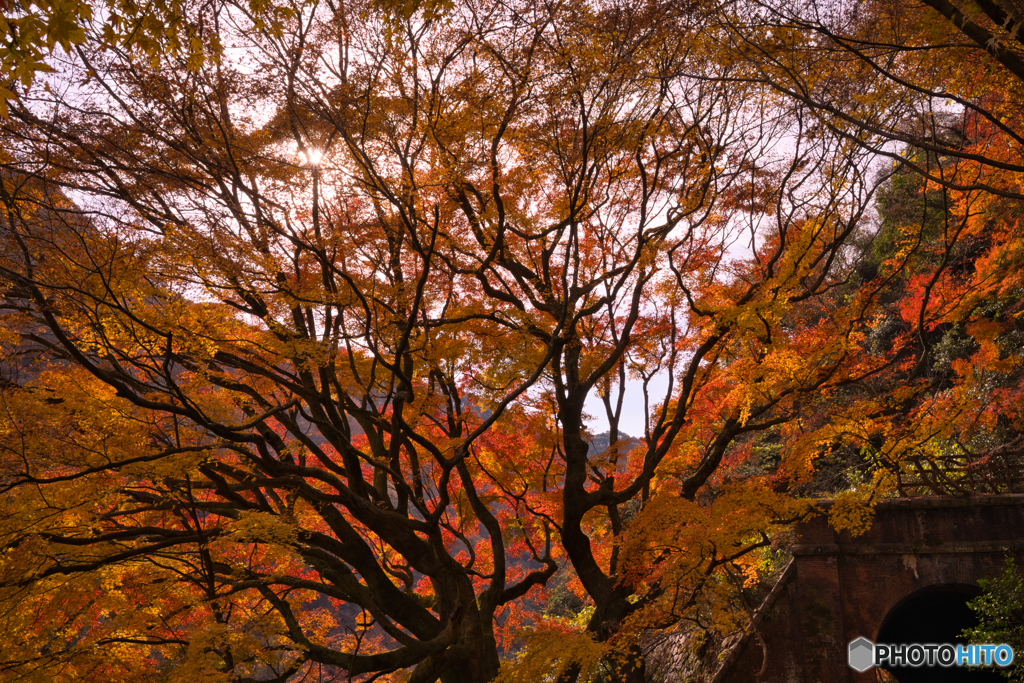 紅葉の愛岐トンネル群を歩く ⑦