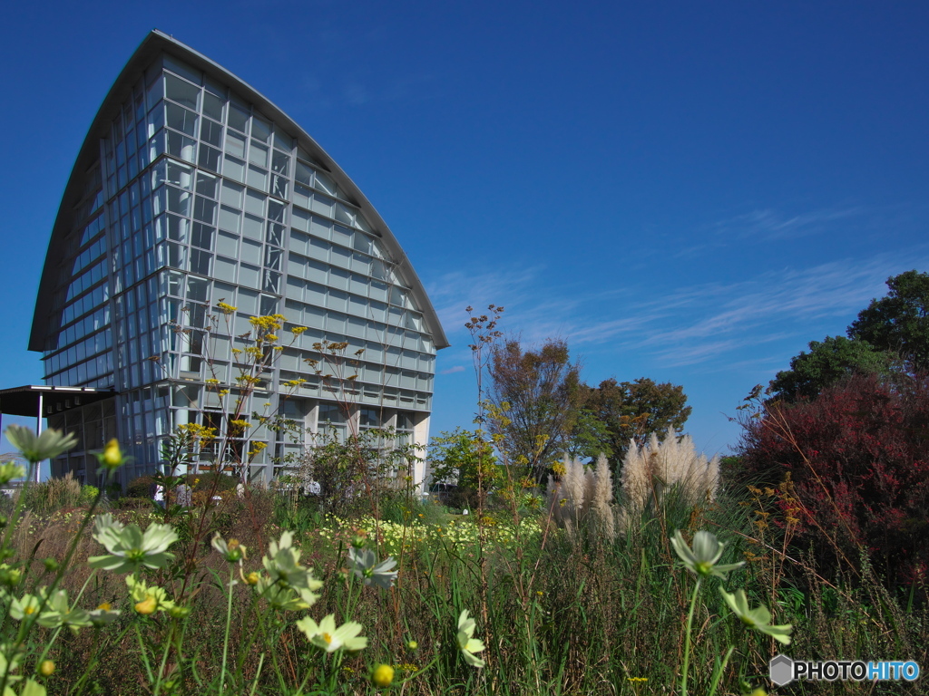 光あふれる庭 ⑥