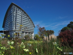 光あふれる庭 ⑥