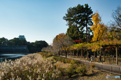 午後の公園散歩 ③