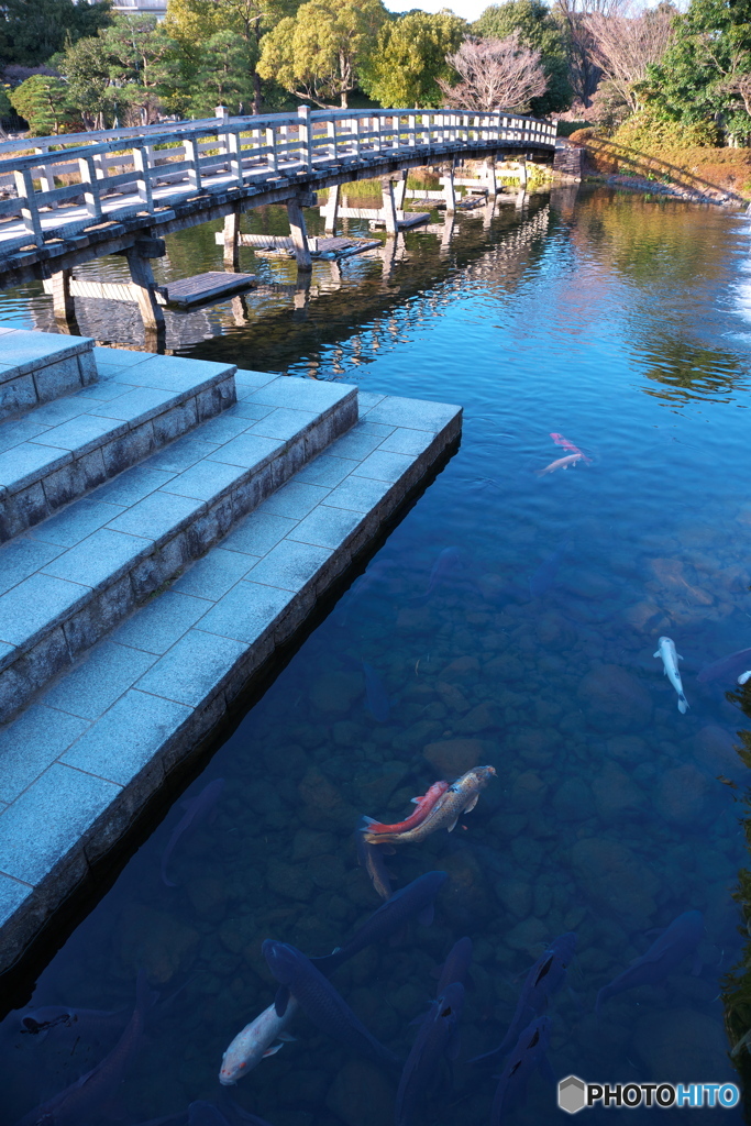 冬の庭園散歩 ④