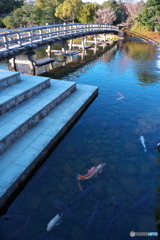 冬の庭園散歩 ④