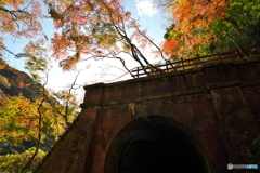秋の愛岐トンネル群 ⑤