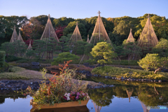 白鳥庭園 散策 ①