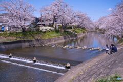 五条川散策 ⑤