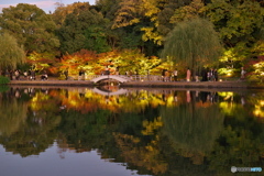 徳川園紅葉祭 ⑥
