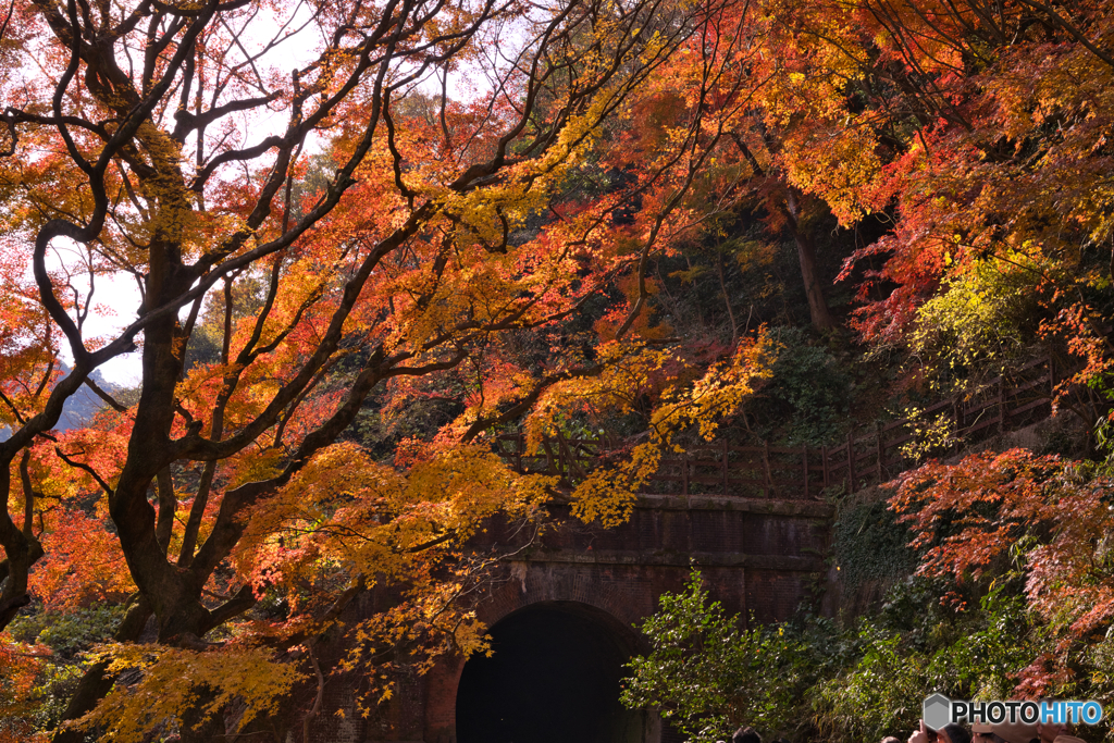 紅葉の愛岐トンネル群を歩く ④