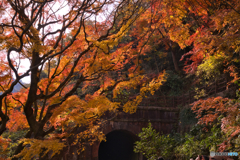 紅葉の愛岐トンネル群を歩く ④