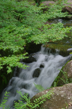 流れに涼を求めて