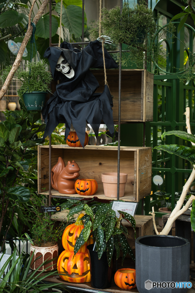 ハロウィンのご挨拶 ③