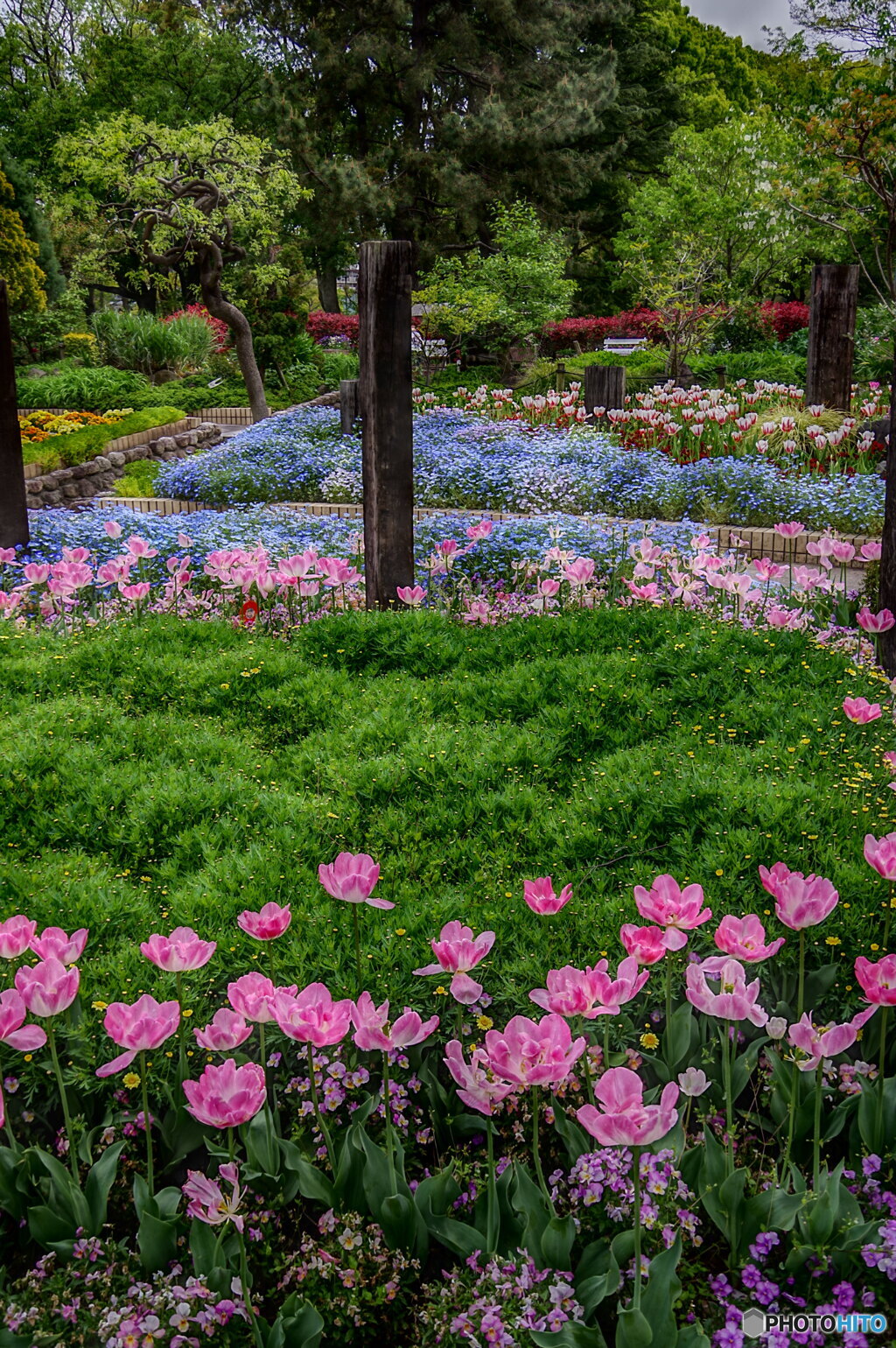 春の名城公園４
