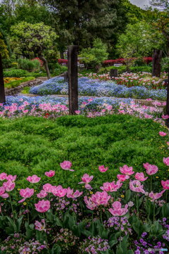 春の名城公園４