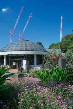 晩夏の公園散歩 ①