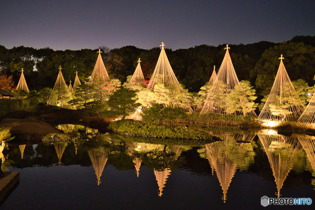 白鳥庭園 散策 ⑪