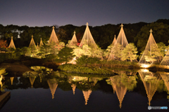 白鳥庭園 散策 ⑪