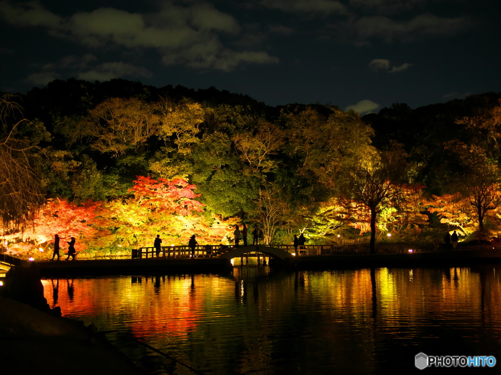 徳川園 紅葉ライトアップ ⑧