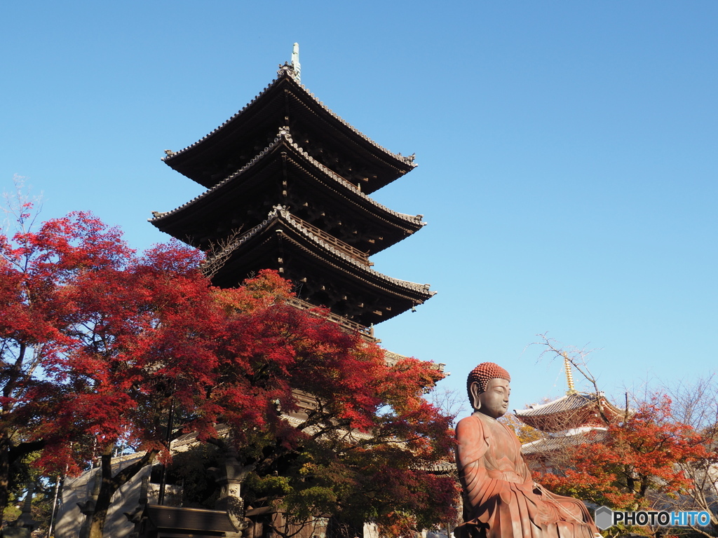 八事山　興正寺２