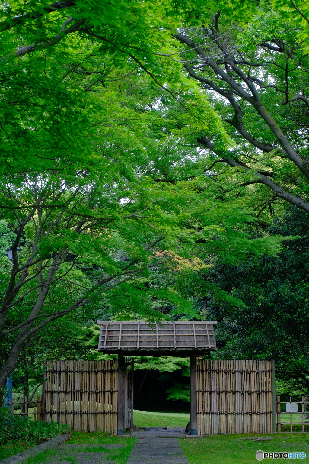 新緑の三の丸庭園 ①