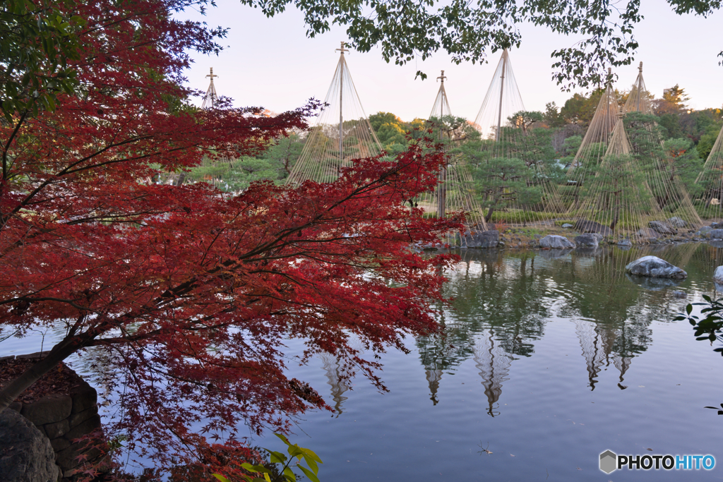 白鳥庭園 散策 ④