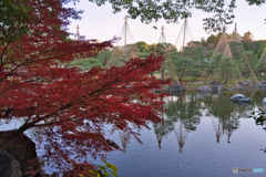 白鳥庭園 散策 ④