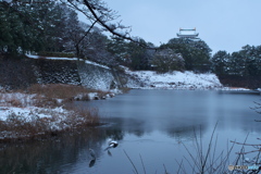 名古屋城雪景 ①