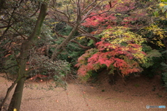名古屋城外堀散策 ③