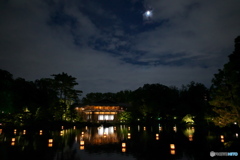 徳川園の夕涼み ⑧  朧月夜
