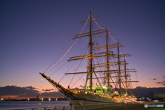 日本丸の寄港 ⑦