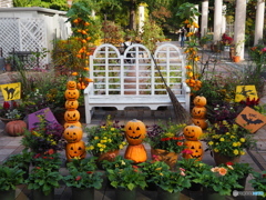 ハロウィンの庭 ⑤