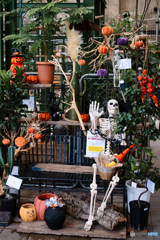 ハロウィンのご挨拶 ①