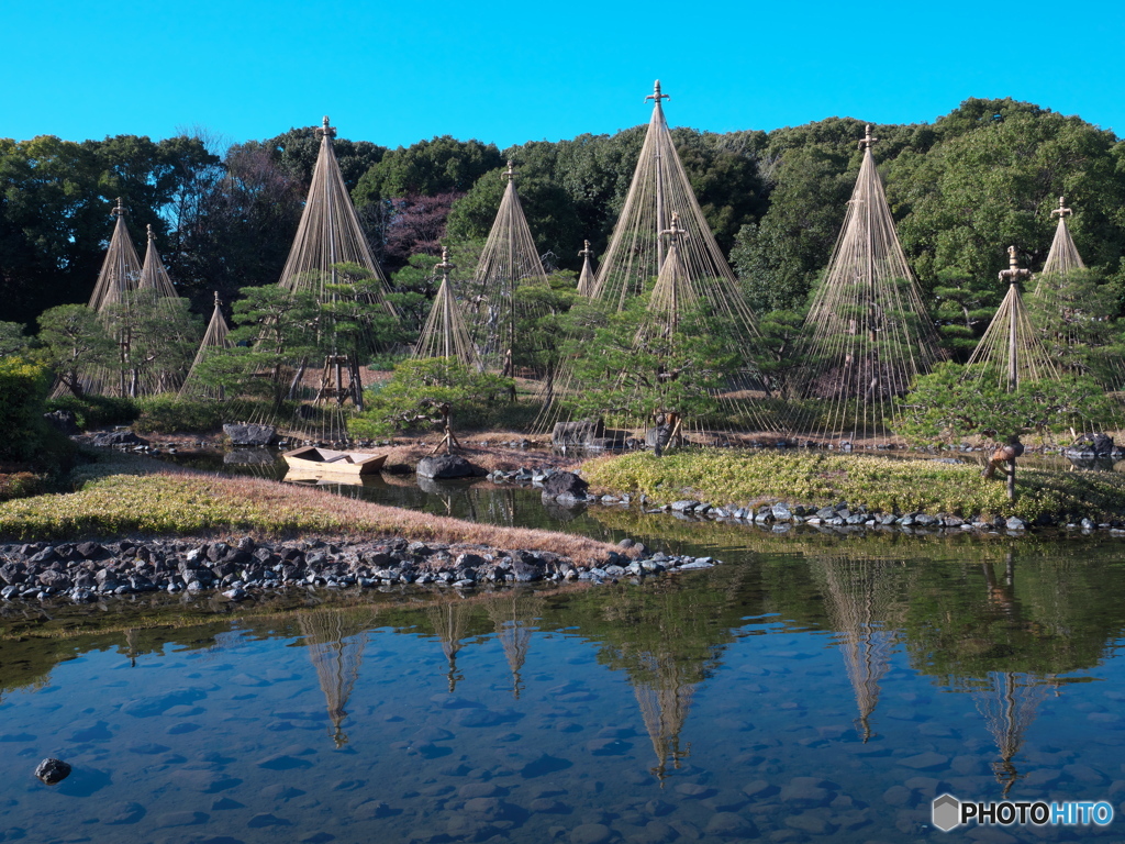 冬の庭園散歩 白鳥庭園 ①