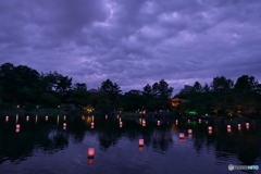 徳川園の夕涼み ④  夕闇せまる庭園