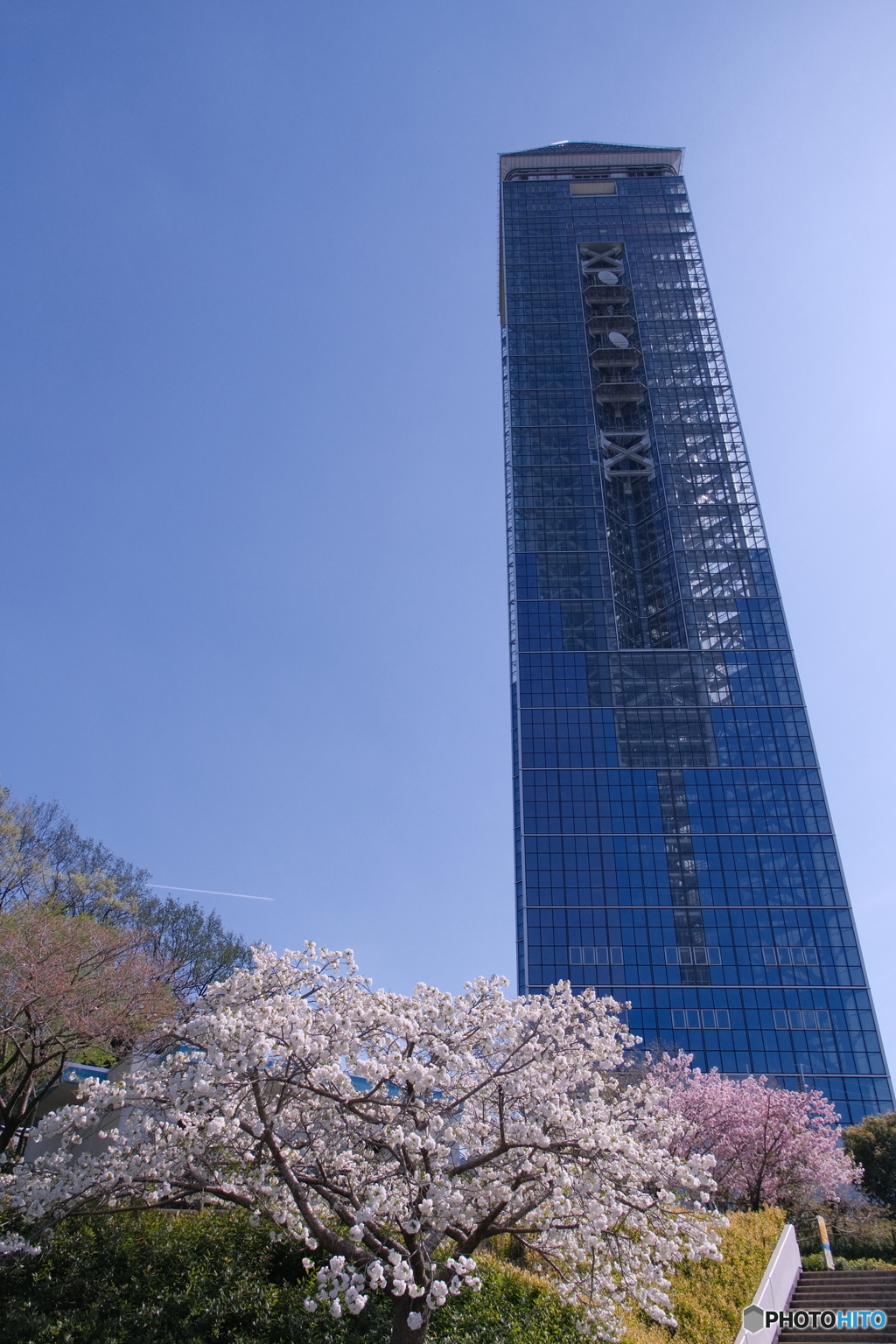 桜 × 東山スカイタワー ③