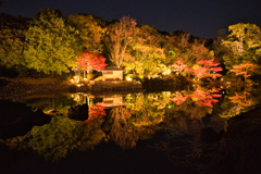 白鳥庭園 散策 ⑩