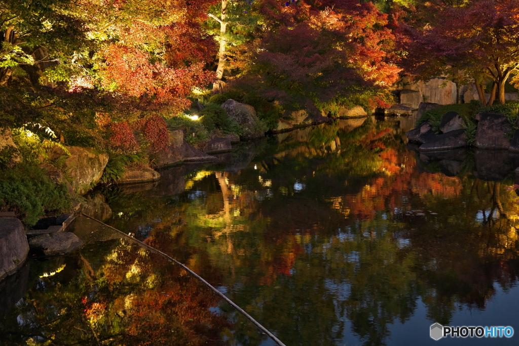 徳川園紅葉祭 ⑦