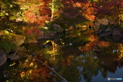 徳川園紅葉祭 ⑦