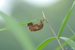 初めまして