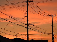 夜