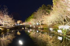 なばなの里