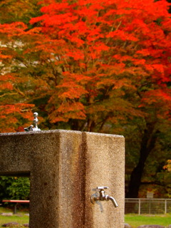 DSCN0332