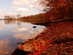 DSCN0699_1