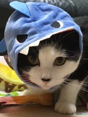 さらに喰われた。
