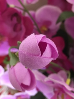 マクロテスト。造花です。