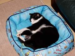 ZZZ