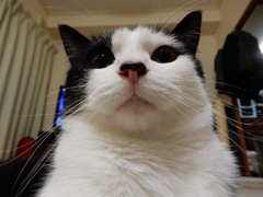 ふそんな態度