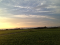 田園の夕焼け