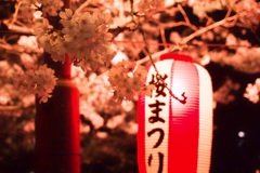 桜まつり